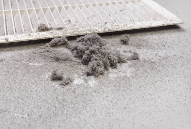 Best Affordable Air Duct Cleaning  in Kings Bay Base, GA